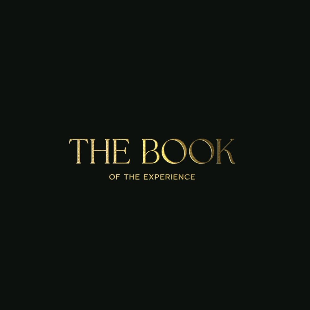 THE BOOK of the Experience — Cover